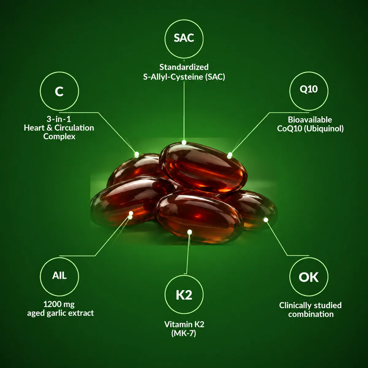 [en] NATI+ 3-in-1 complex: aged garlic SAC, CoQ10 ubiquinol, vitamin K2 MK-7
