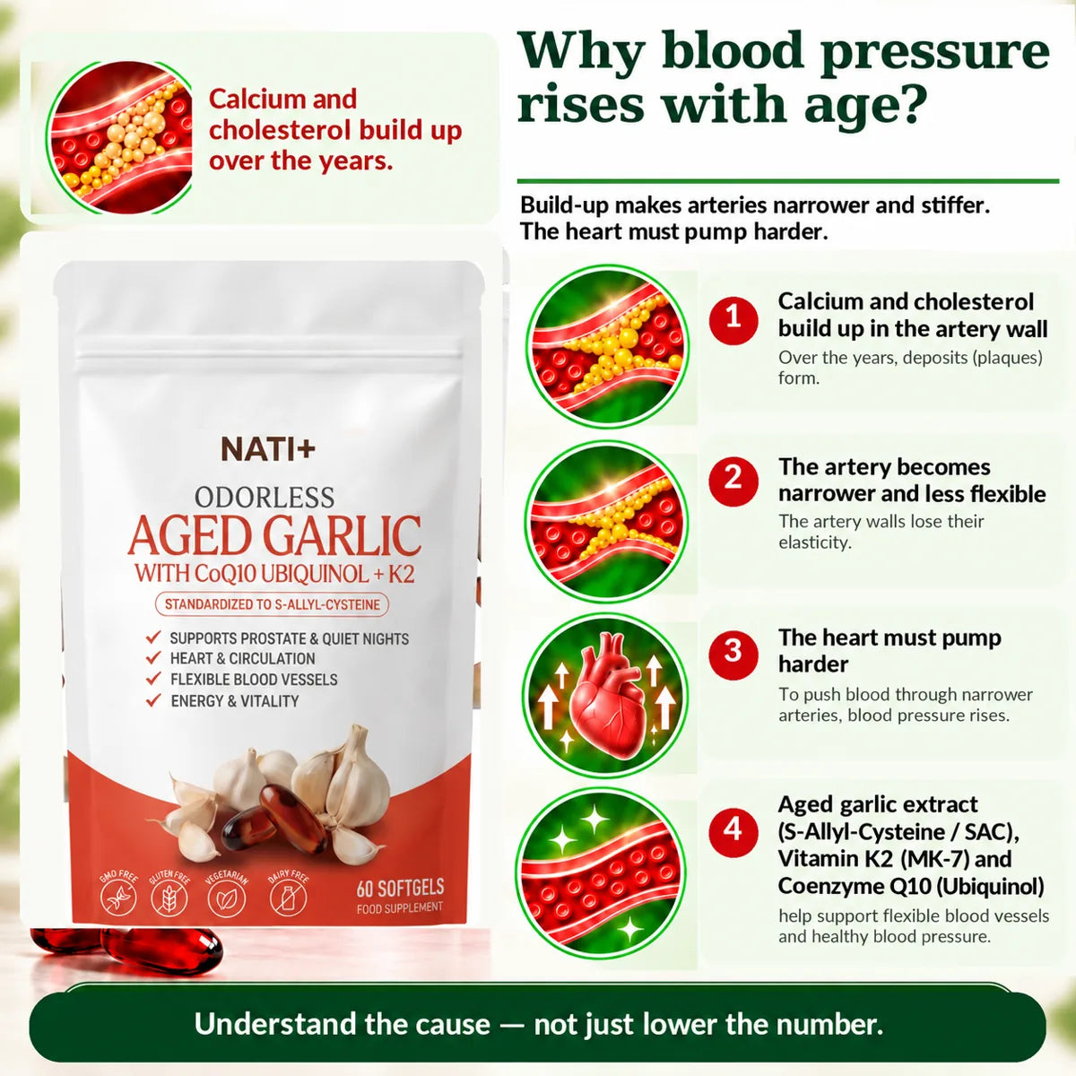 [en] Why blood pressure rises with age
