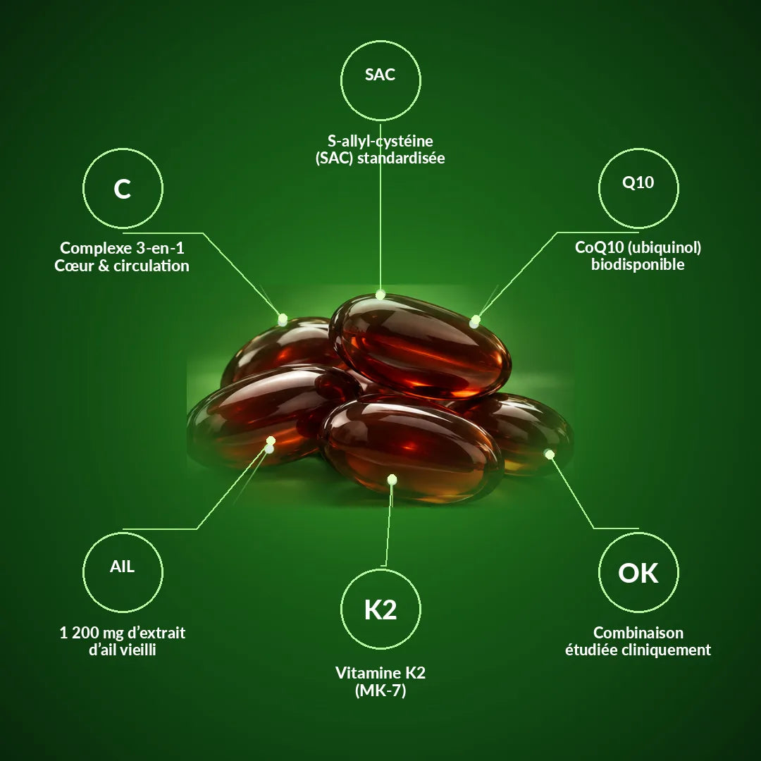 Complexe 3 en 1 : ail vieilli, CoQ10 ubiquinol, vitamine K2